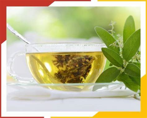 10 Best Things to Eat and Drink to Boost Immune System