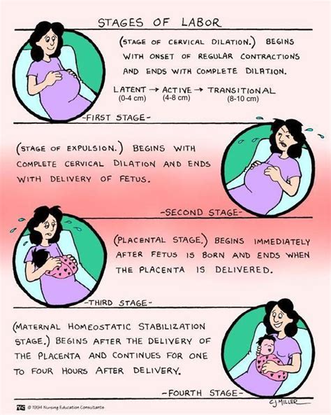 Labor 的图像结果