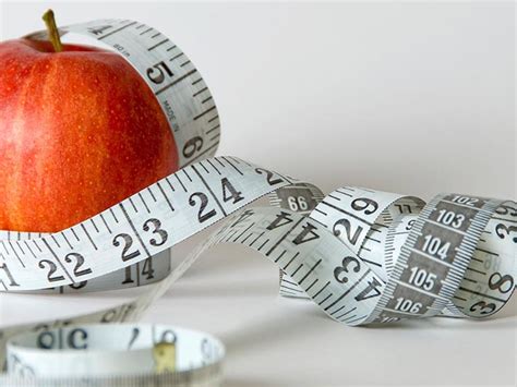 5 licuados altos en proteína