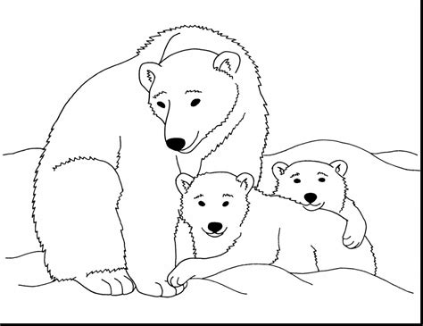 Polar Bear Outline Printable at sasambassadorblog Blog