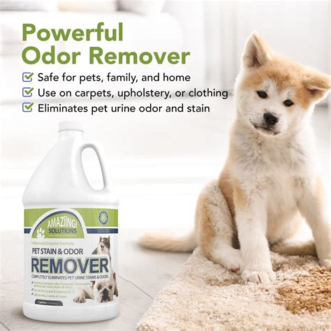 Eliminate Dog Urine Smell