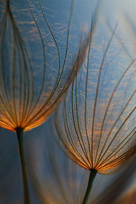 Pebble in my Shoe: Photo