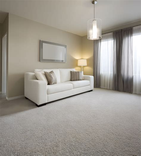 How to Fix Carpet Wrinkles: A Step-by-Step Guide | Alexandria, VA ...