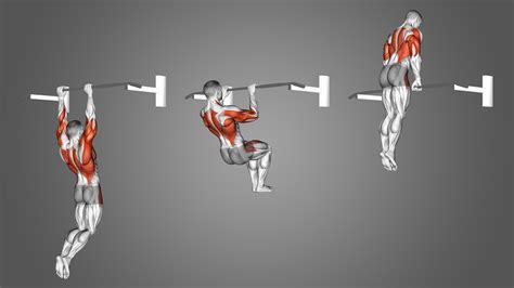 Image result for Muscle Up Tutorial