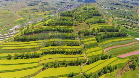 青海省西宁市南北山绿化工程典型案例-中国网生态中国