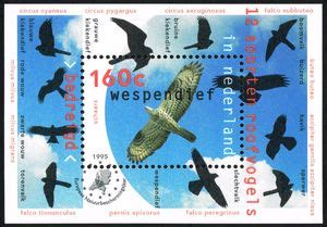 Image result for DDR Extreme Memory Card