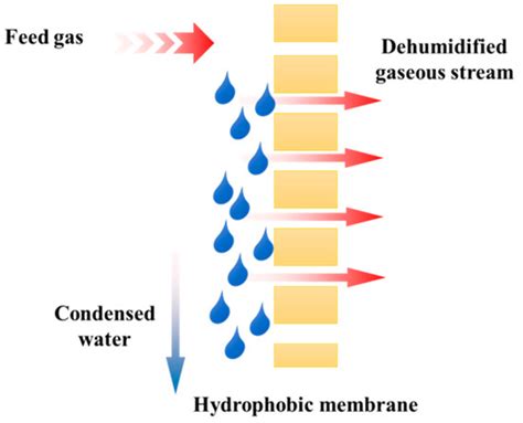 Preparation of ECTFE Porous Membrane for Dehumidification of Gaseous ...