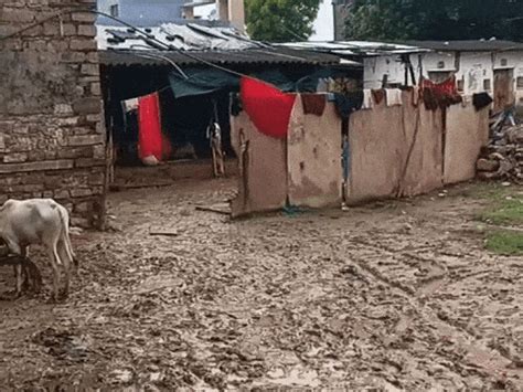 Uncle dies saving nephew in Sheopur flood: Bodies of both found ...