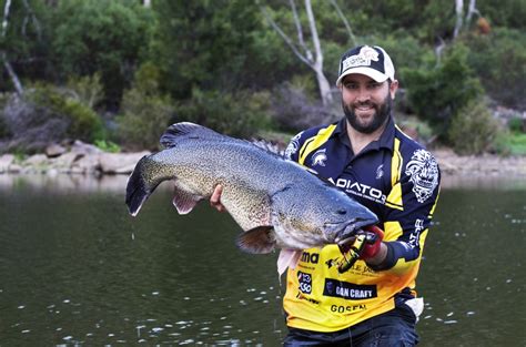 Image result for Catching Murray Cod On Lures Land-Based
