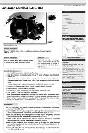 ATREE Branches, Volume 8:3, July-September 2011