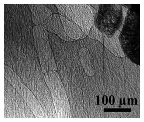 Nondestructive Characterization by Advanced Synchrotron Light ...