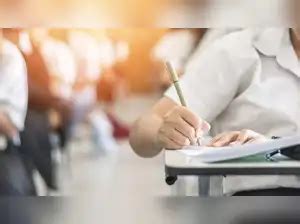 MSBTE Diploma Summer Results 2024 Declared at msbte.org.in: Here is how ...