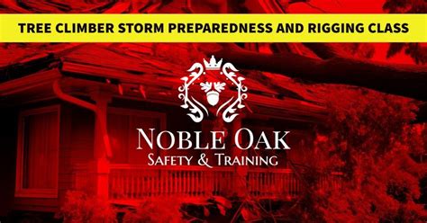 Tree Climber Storm Preparedness and Rigging Class, NJ Crane Expert ...