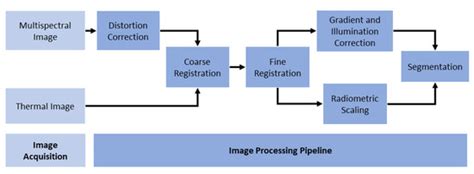 Plants | Special Issue : Emerging Technologies and Tools for Next ...