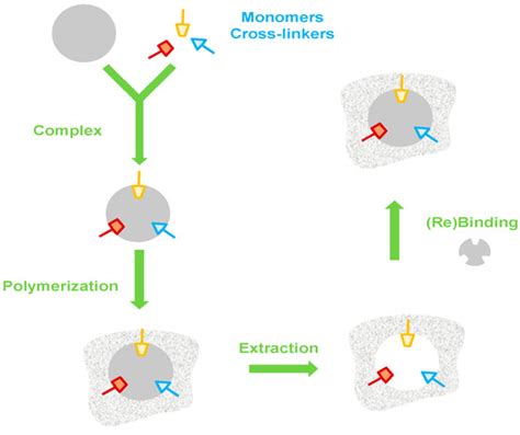 Imprinting Technology in Electrochemical Biomimetic Sensors