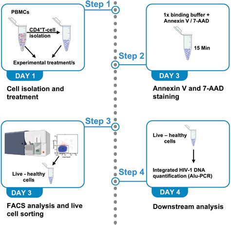 Image result for Cell Sorting Staining Protocol