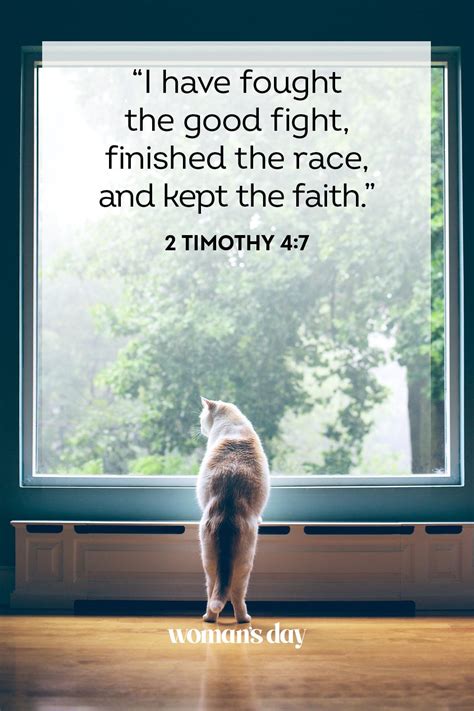 Image result for Biblical Scriptures On Faith