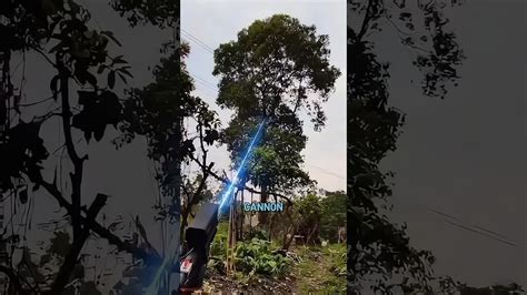 Image result for Laser Cannon Tree Cutter