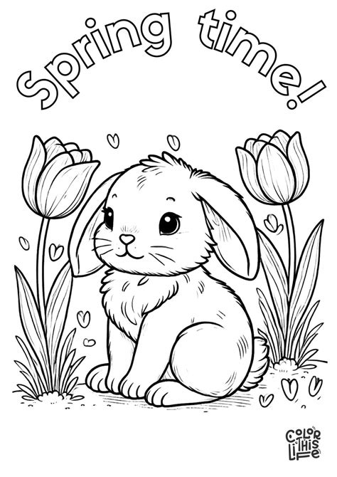 Simple Flower Coloring Pages (Free Printable)