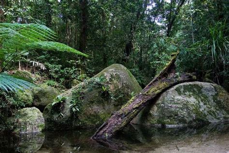 Queensland Travel Guide You Must Read When Planning The Trip