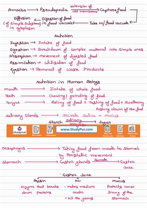 Life Process Class 10 CBSE 的图像结果