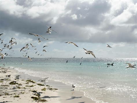 Venezuela: the most beautiful country in the world | Meer