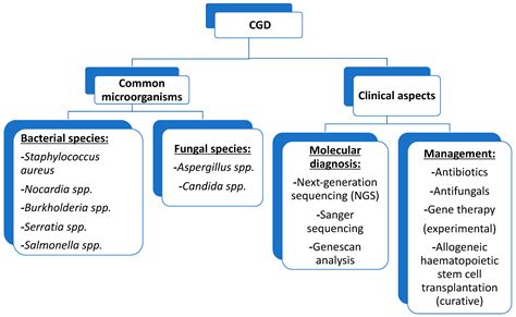 Chronic Granulomatous Disease (CGD): Commonly Associated Pathogens ...