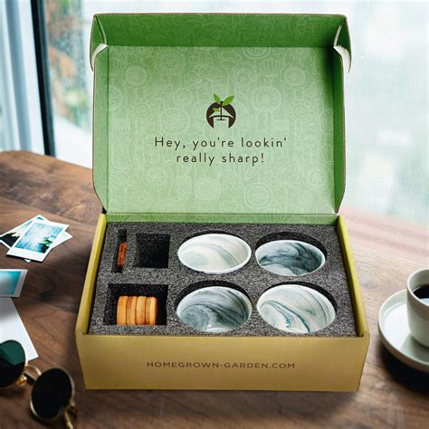 Deluxe Succulent & Cactus Seed Grow Kit - Complete Indoor Cactus ...