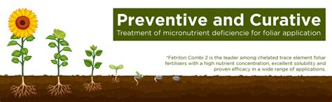 COMPO EXPERT Fertilon Combi-2 (From Germany) Chelated Multi ...