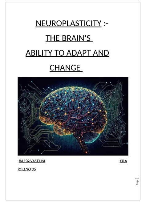 Neuroplasticity: Understanding Adaptation and Change in the Brain - Studocu