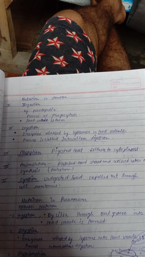 2.Explain the process of nutrition in amoeba & paramecium with suitable ...