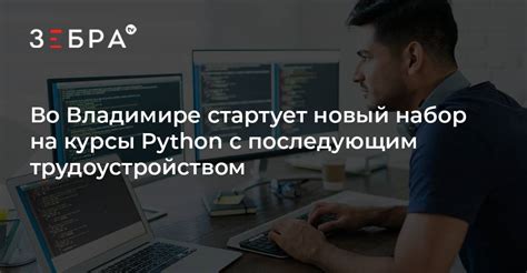 Во Владимире стартует новый набор на курсы Python с последующим ...