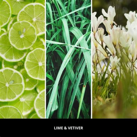 Millefiori uzupełniacz 500ml LIME & VETIVER | home&you