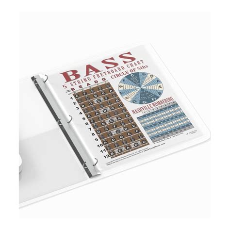 A New Song Music Laminated 5 String Bass Fretboard India | Ubuy