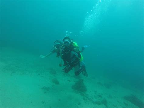 TAPROBANE DIVERS (2026) All You Need to Know BEFORE You Go (with Photos ...