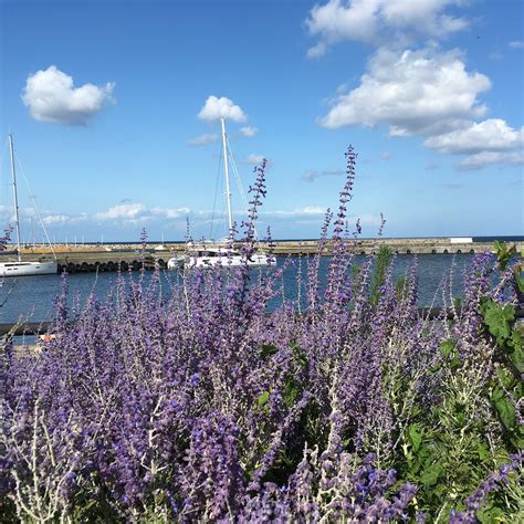 SIMRISHAMNS TURISTCENTER (2026) All You Need to Know BEFORE You Go ...