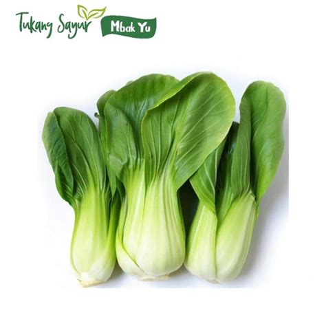 Jual sayur pakcoy segar 500gr - Kota Tangerang Selatan ...