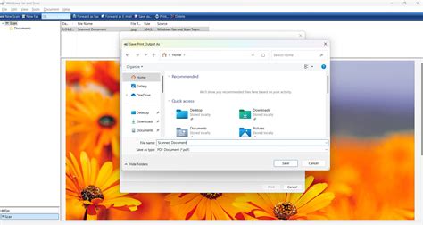 Image result for How to Scan PDF on Windows