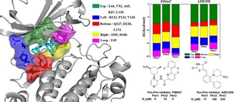Insights into the Interaction Mechanisms of the Proviral Integration ...
