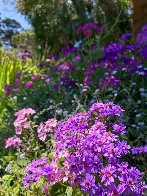 Ashley Serrano: Redefining Success After A Leak - Truth or Fiction