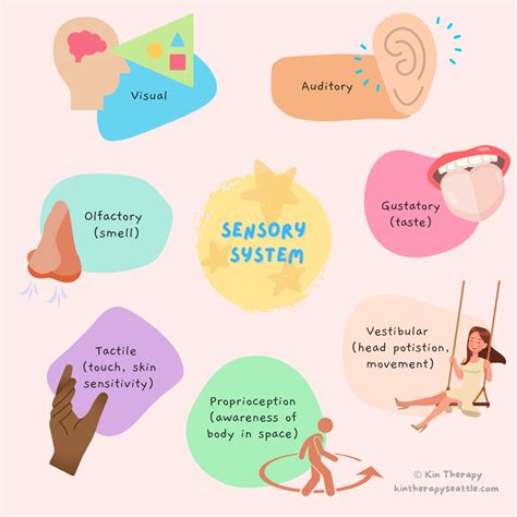Hidden Senses: Vestibular & Proprioceptive Systems — Kin Therapy
