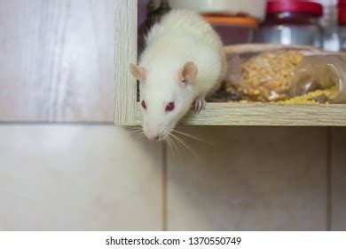 Image result for Nimble Storage Array Tutorials