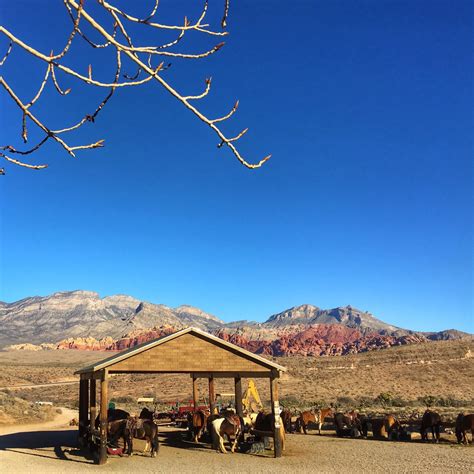 Summerlin South, Las Vegas Vacation Rentals: house rentals & more | Vrbo