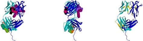 Identification of Protein–Excipient Interaction Hotspots Using ...