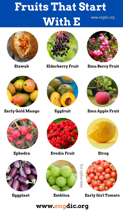 Fruit In Spanish That Starts With E at Holly Brough blog