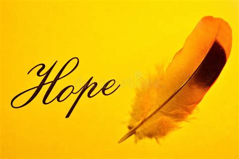 Image result for Hope Def