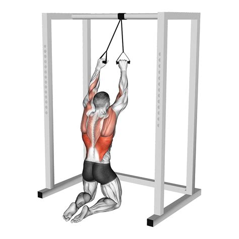 Resistance Band Lat Pulldown: Benefits, Muscles Worked, and More ...