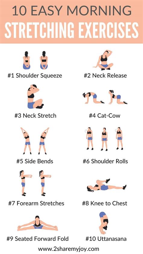 Image result for Exercise Tutorials for Beginners