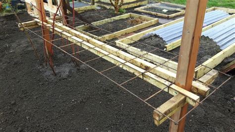 Image result for How to Make Raspberry Support Using Calf Panels