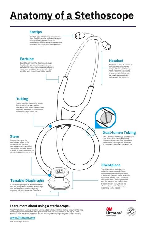 Stethoscope Different Types 的图像结果